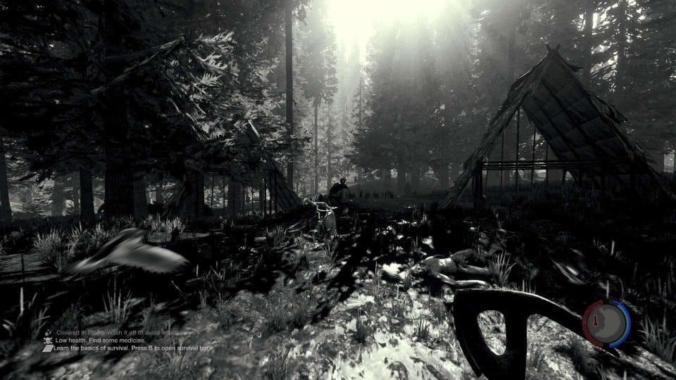 The Forest - Auch in Schwarz Weiß wunderschön anzusehen