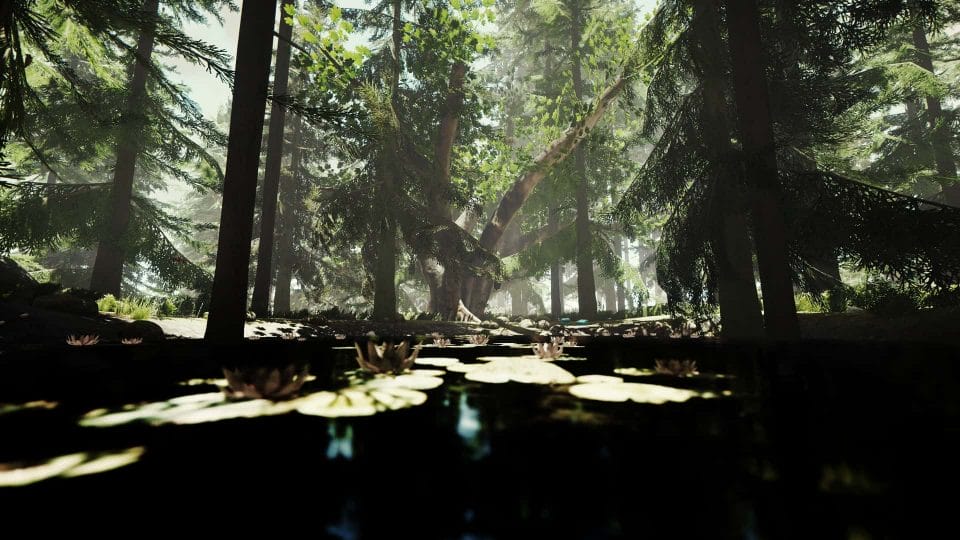 The Forest Wallpaper 7